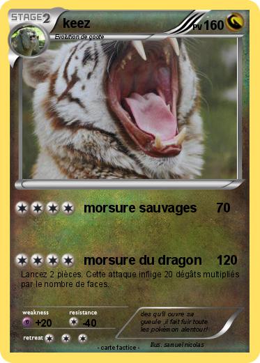 Pokemon keez