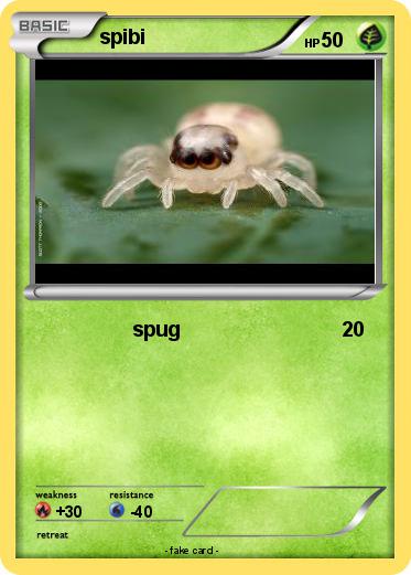Pokemon spibi