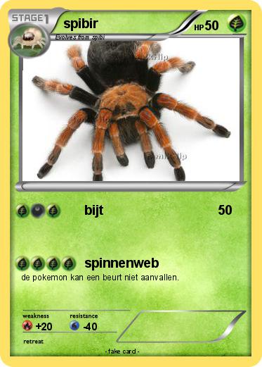 Pokemon spibir