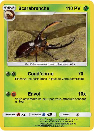 Pokemon Scarabranche