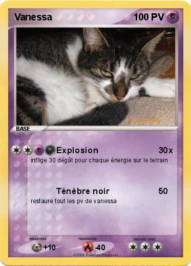 Pokemon Vanessa