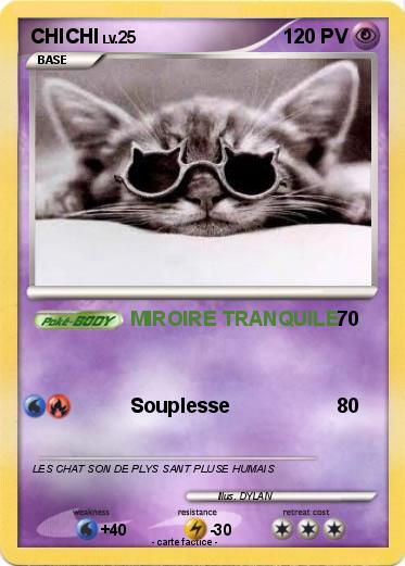Pokemon CHICHI