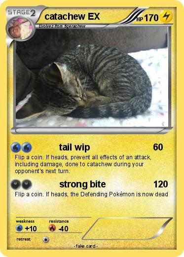 Pokemon catachew EX
