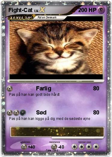 Pokemon Fight-Cat
