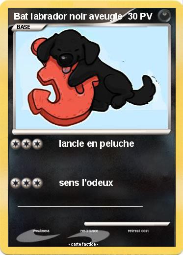Pokemon Bat labrador noir aveugle