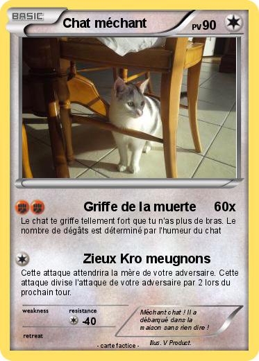 Pokemon Chat méchant