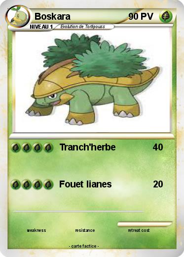 Pokemon Boskara