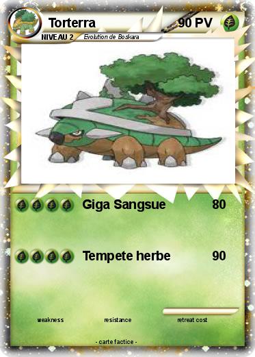Pokemon Torterra