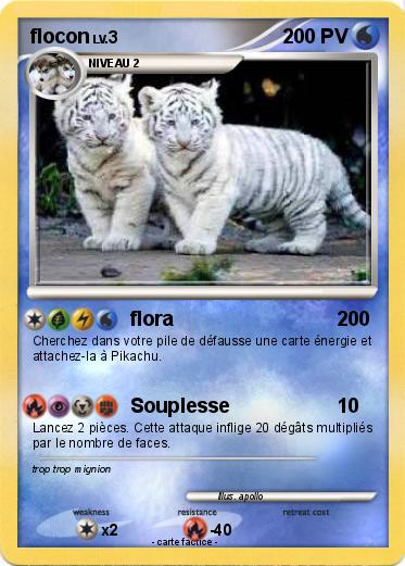 Pokemon flocon