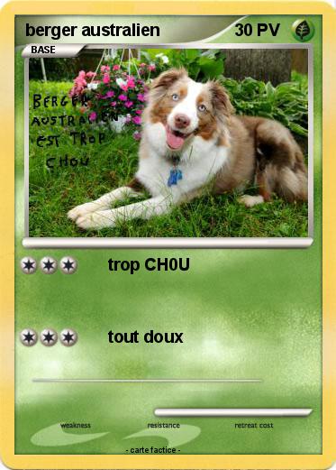 Pokemon berger australien