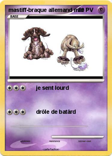 Pokemon mastiff-braque allemand mix