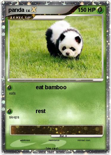 Pokemon panda