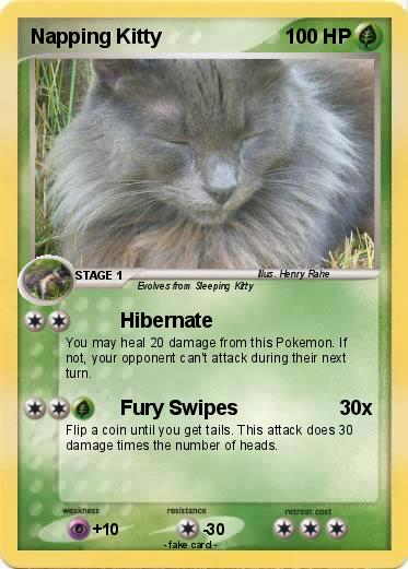 Pokemon Napping Kitty