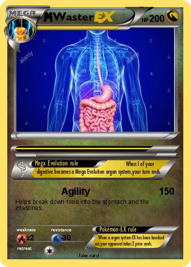 Pokemon Waster