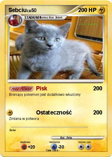 Pokemon Sebciu