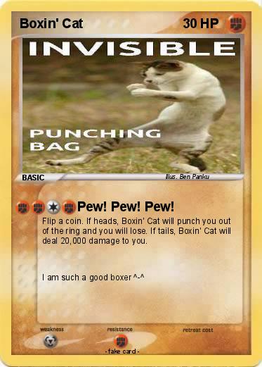 Pokemon Boxin' Cat