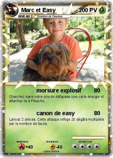 Pokemon Marc et Easy