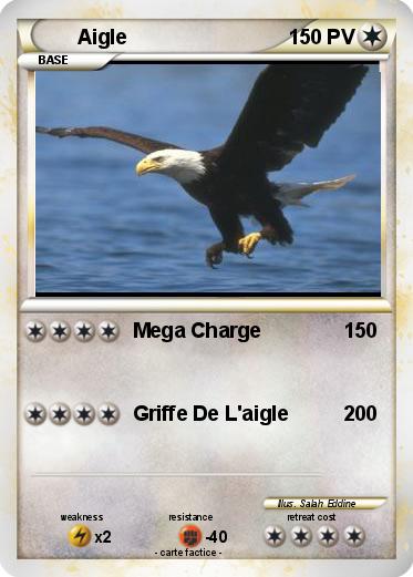 Pokemon Aigle