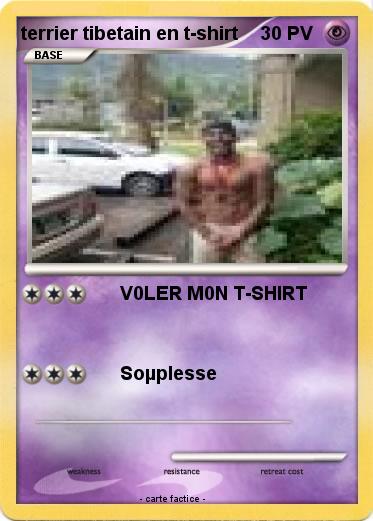 Pokemon terrier tibetain en t-shirt