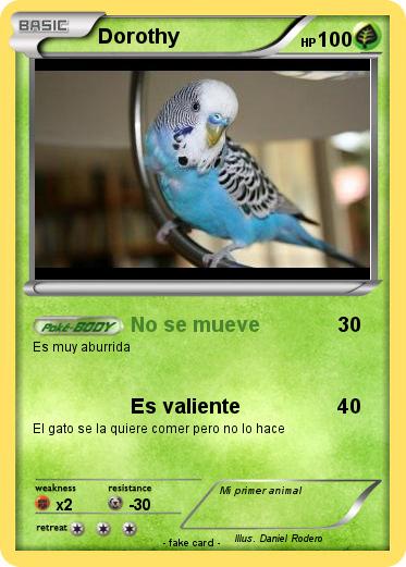 Pokemon Dorothy