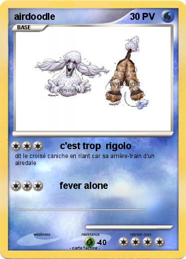 Pokemon airdoodle