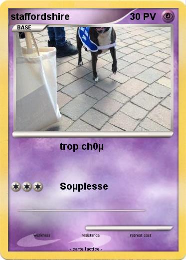 Pokemon staffordshire