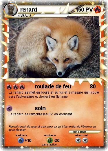 Pokemon renard