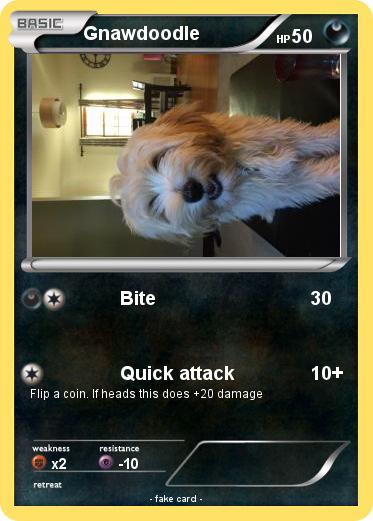 Pokemon Gnawdoodle