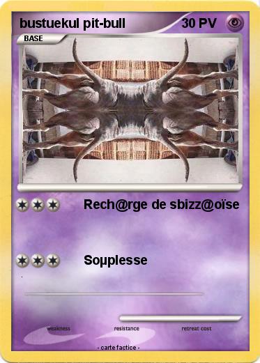 Pokemon bustuekul pit-bull