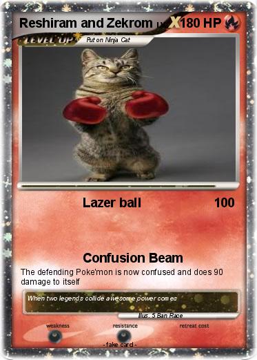 Pokemon Reshiram and Zekrom