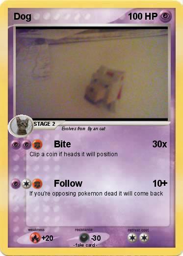 Pokemon Dog