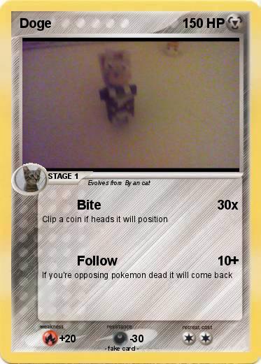 Pokemon Doge