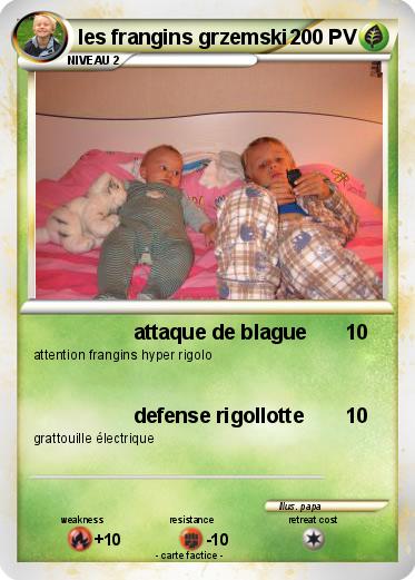 Pokemon les frangins grzemski