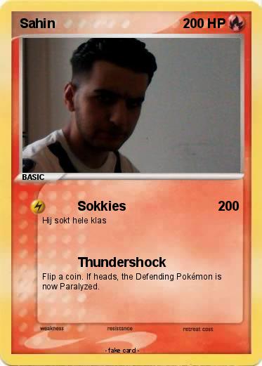 Pokemon Sahin