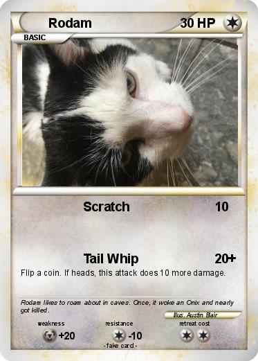 Pokemon Rodam