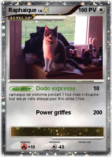 Pokemon Raphaique