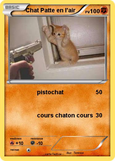Pokemon Chat Patte en l'air