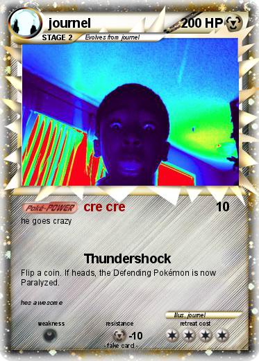 Pokemon journel
