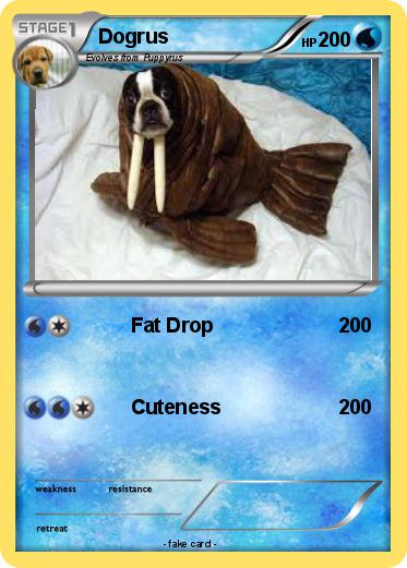 Pokemon Dogrus