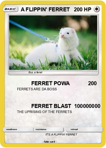 Pokemon A FLIPPIN' FERRET