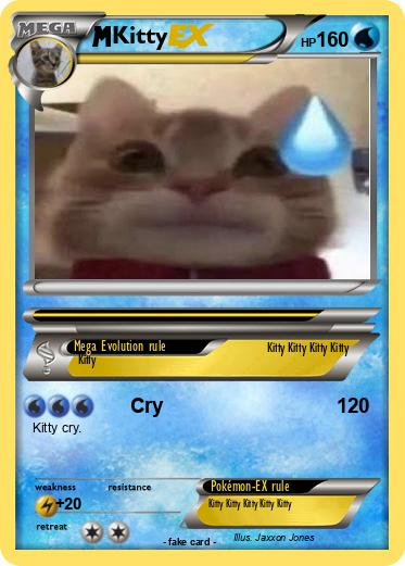 Pokemon Kitty