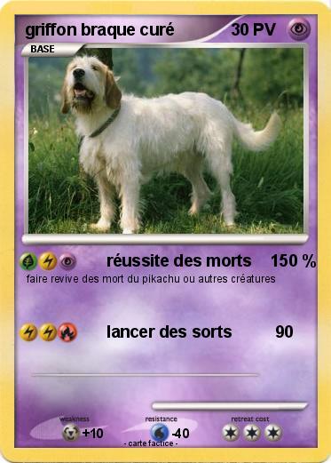 Pokemon griffon braque curé
