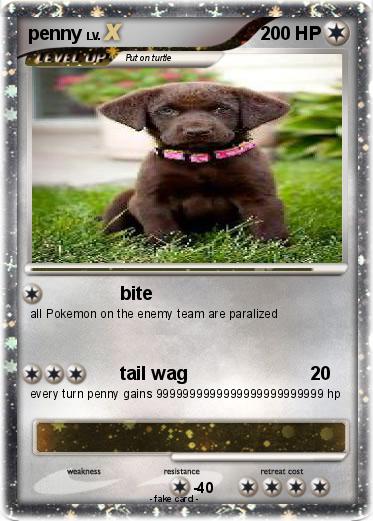 Pokemon penny