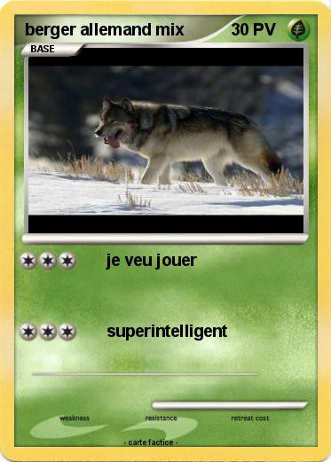 Pokemon berger allemand mix