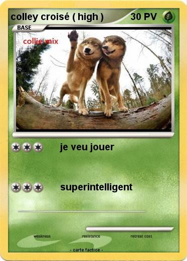 Pokemon colley croisé ( high )