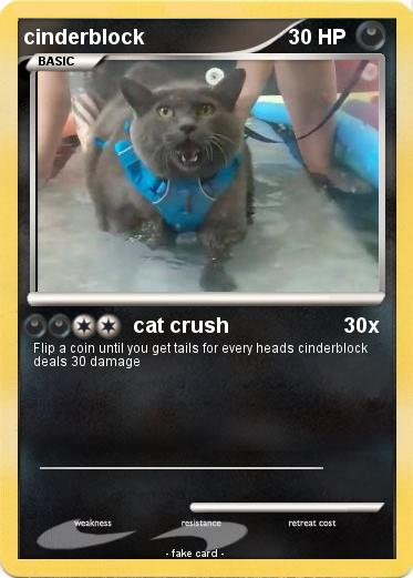 Pokemon cinderblock