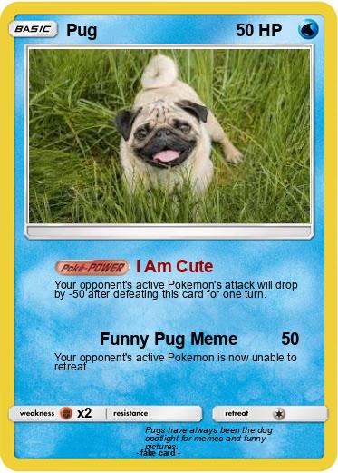 Pokemon Pug