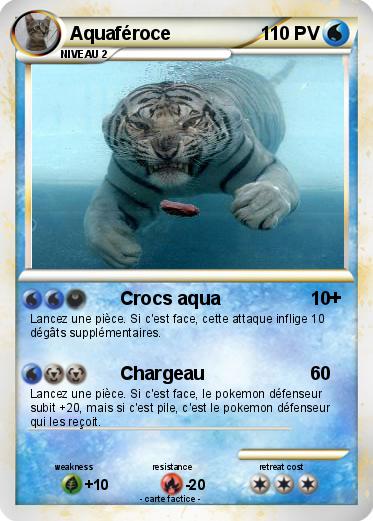 Pokemon Aquaféroce