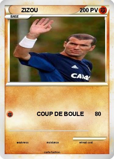Pokemon ZIZOU