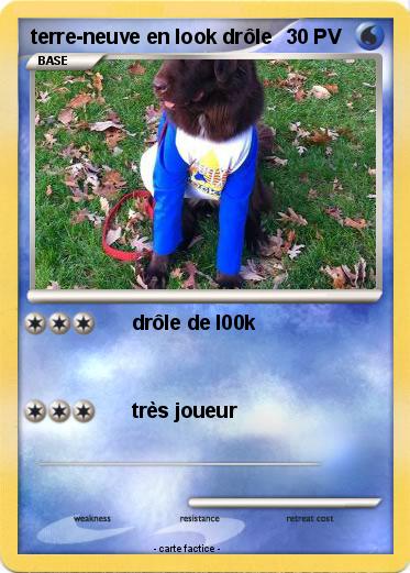 Pokemon terre-neuve en look drôle